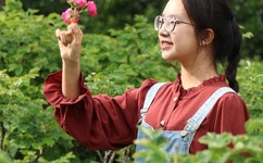 金沙别墅国语版